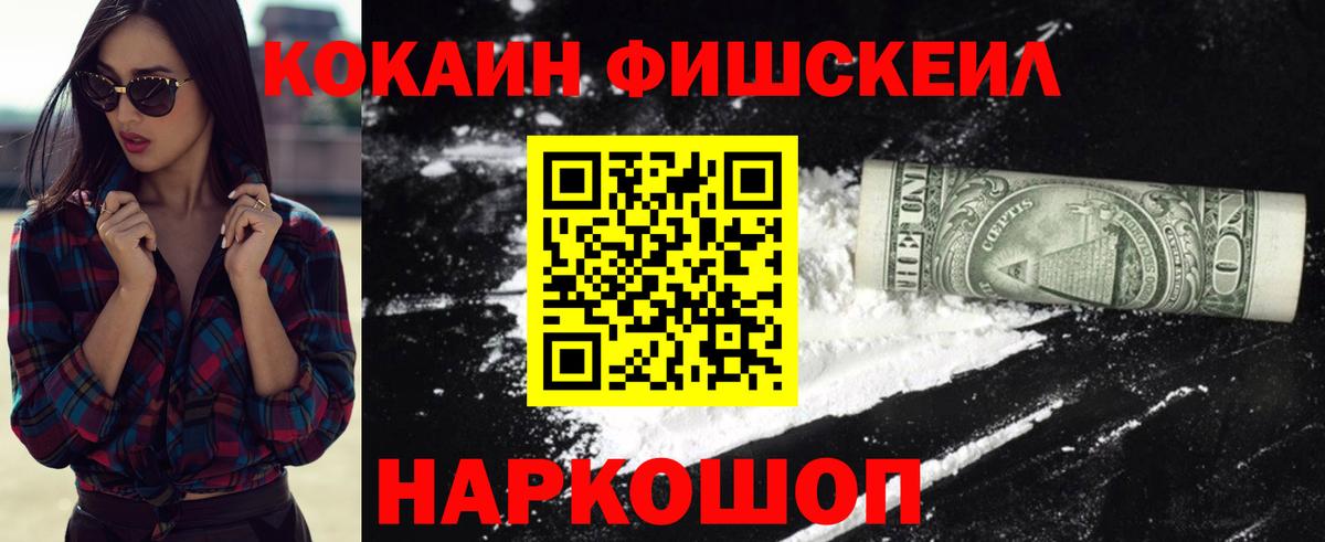 Кокаин Fish Scale  Cocaine Эквадор  продажа наркотиков  Вход с VPN  Камышлов 