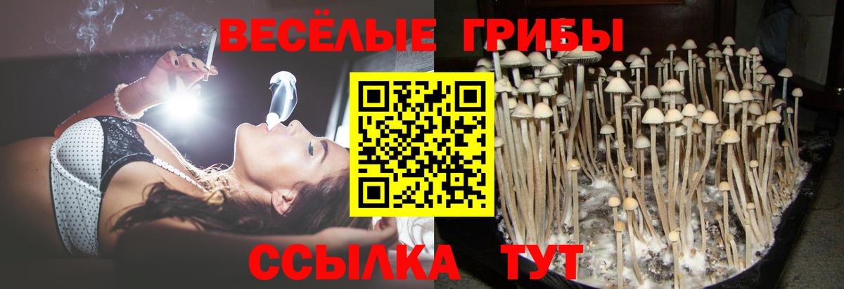 Псилоцибиновые грибы мицелий  Галлюциногенные грибы Psilocybine cubensis  Вход с VPN  Камышлов 
